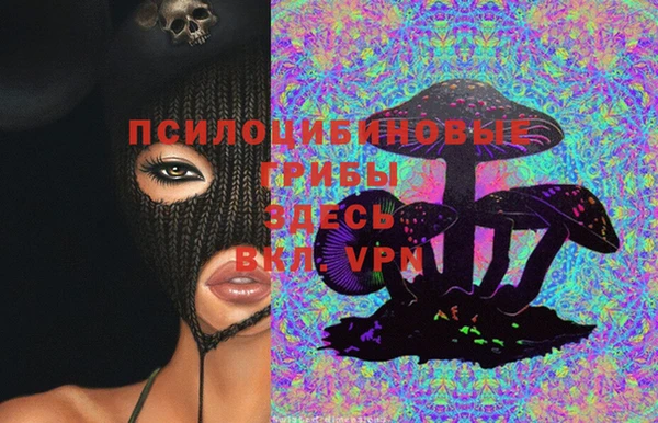 кокс Абаза